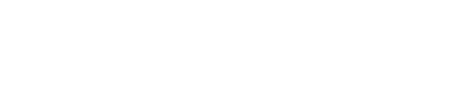 silvasoft_logo_wit